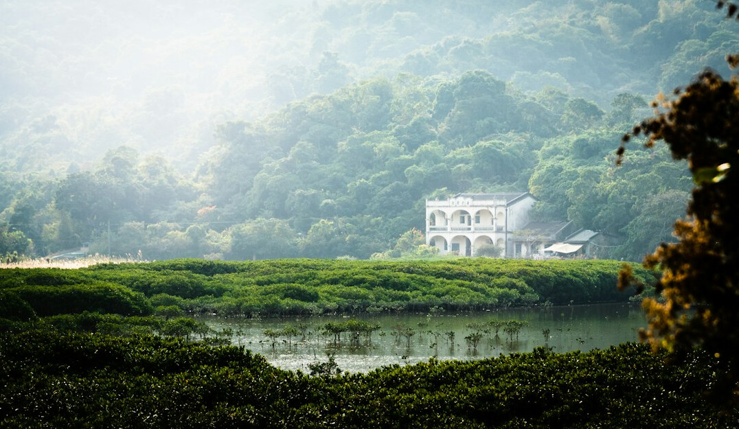 foggy abandoned house